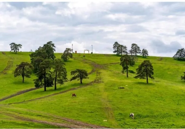 Oaza Kalman Spa-gym * 즐라티보